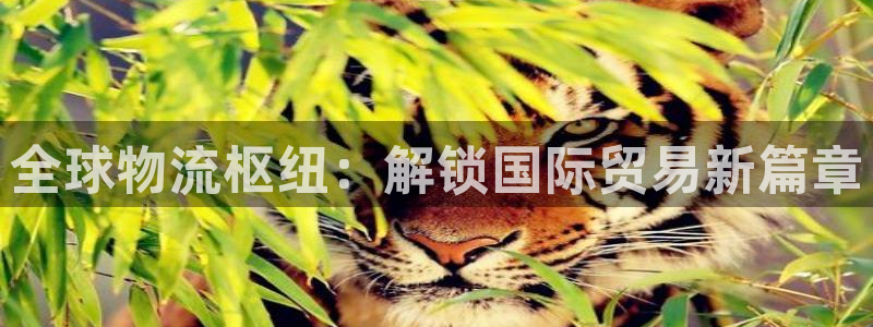 欢迎来到公海710线路