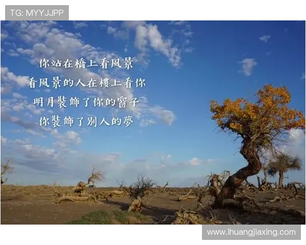 李秀英的滑板人生:从初学者到职业选手的心路历程与成长故事 李秀英的滑板人生:从初学者到职业选手的心路历程与成长故事