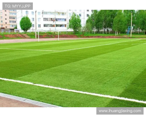 温布利草坪质量引发球员不满欧冠决赛场地问题亟待解决