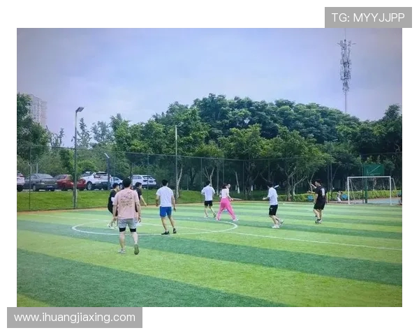 飞盘新手必看:从基础技巧到实战经验的全面入门指南 飞盘新手必看:从基础技巧到实战经验的全面入门指南