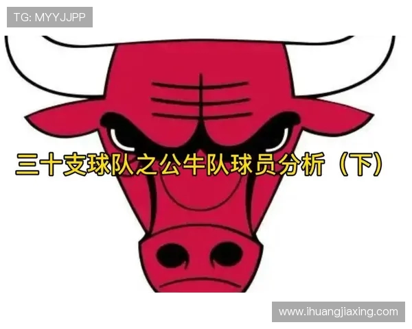 黄蜂与公牛激战正酣NBA直播精彩瞬间回顾与分析