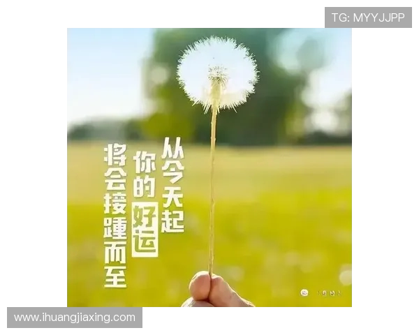 李丽的极限运动人生探索与挑战背后的深度对话与感悟 李丽的极限运动人生探索与挑战背后的深度对话与感悟